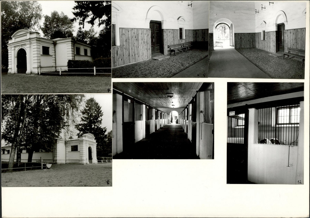 Karta biała, skan nr 6