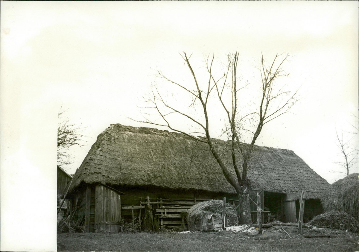 KB - Karta biała, skan nr 6