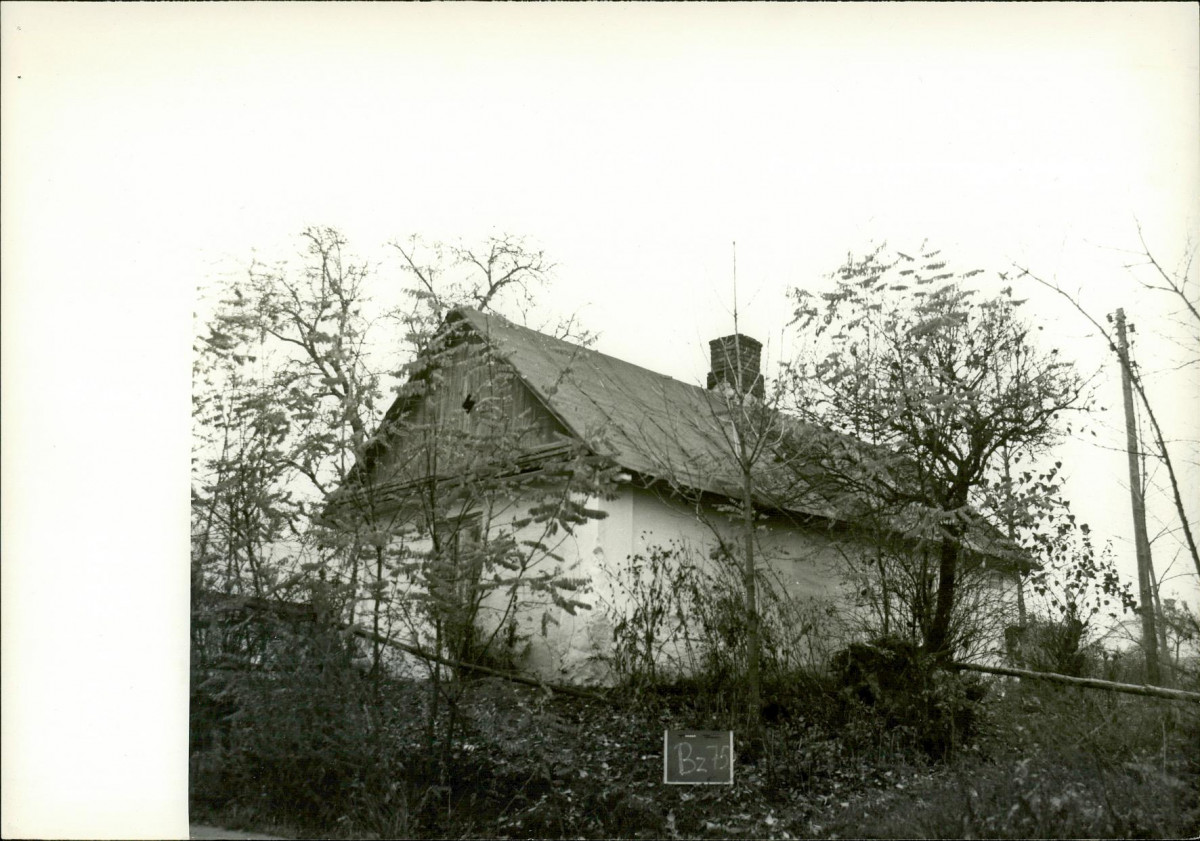 KB - Karta biała, skan nr 6