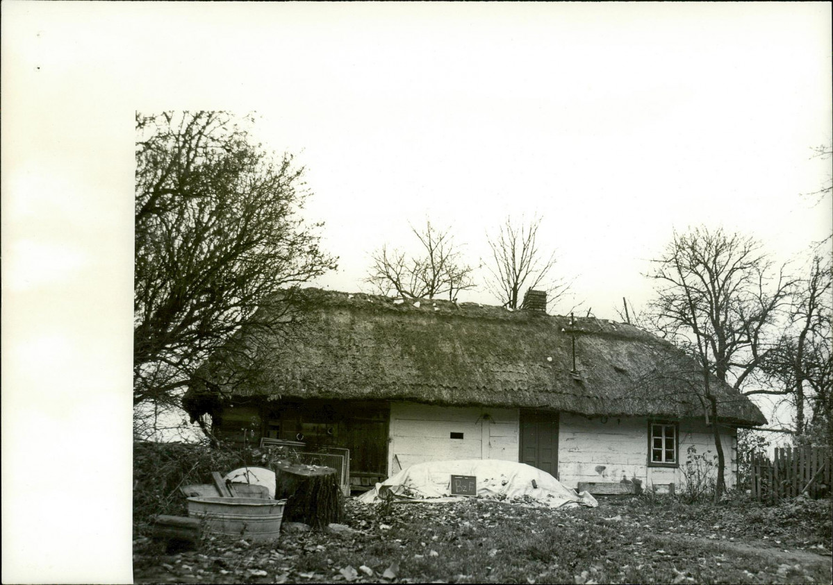 KB - Karta biała, skan nr 5