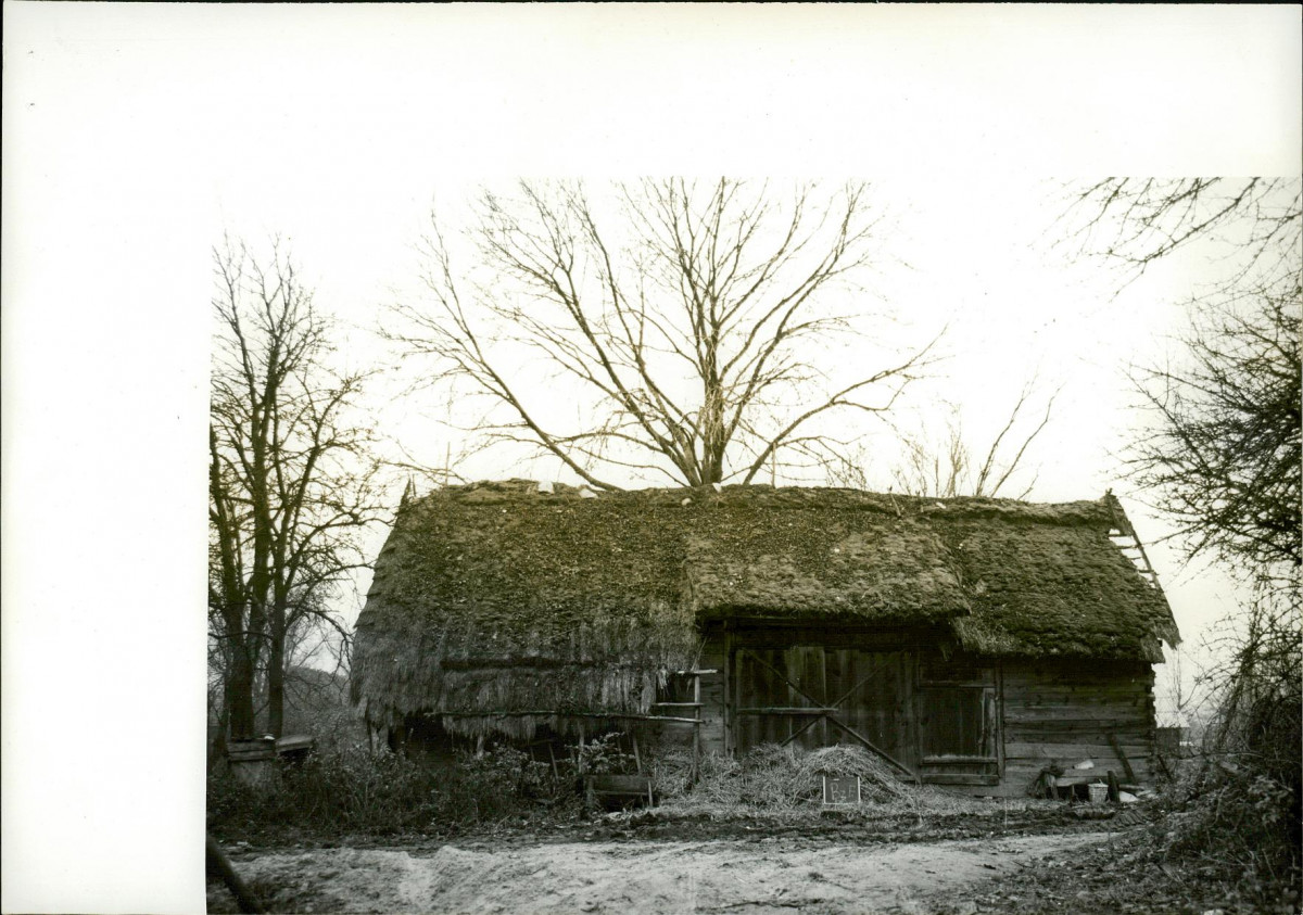 KB - Karta biała, skan nr 6
