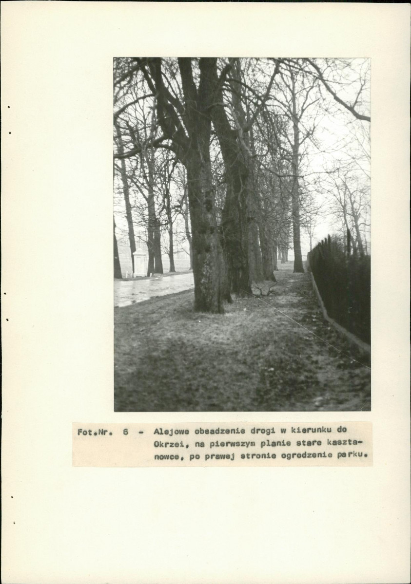 EP - Ewidencja parkowa, skan nr 27
