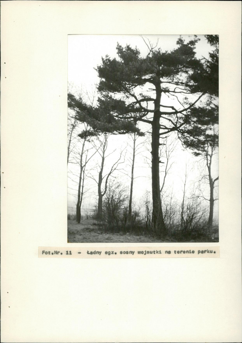 EP - Ewidencja parkowa, skan nr 32