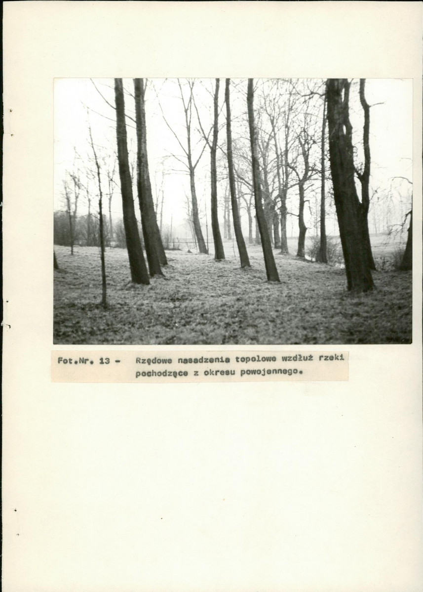 EP - Ewidencja parkowa, skan nr 34