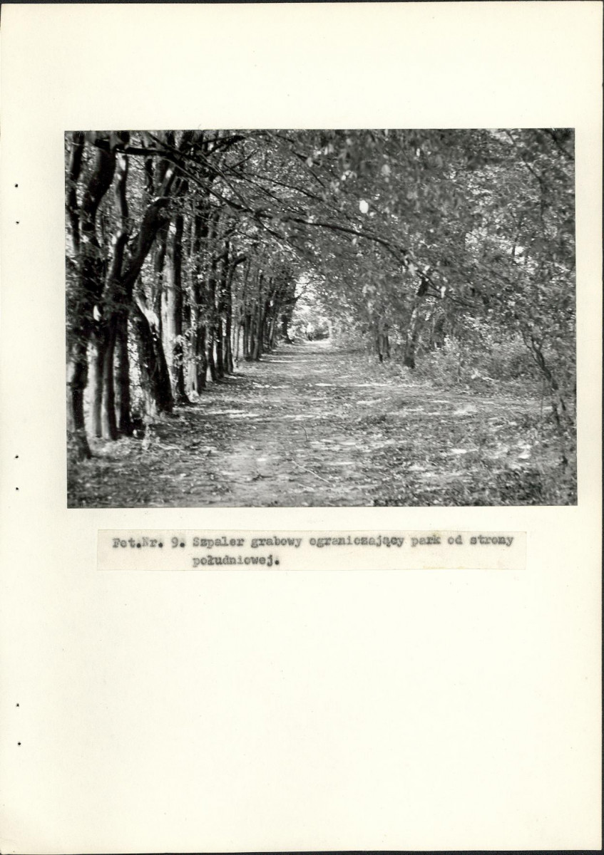 Ewidencja parkowa, skan nr 31