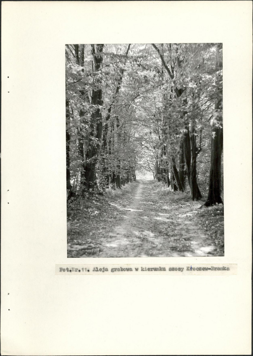 Ewidencja parkowa, skan nr 33
