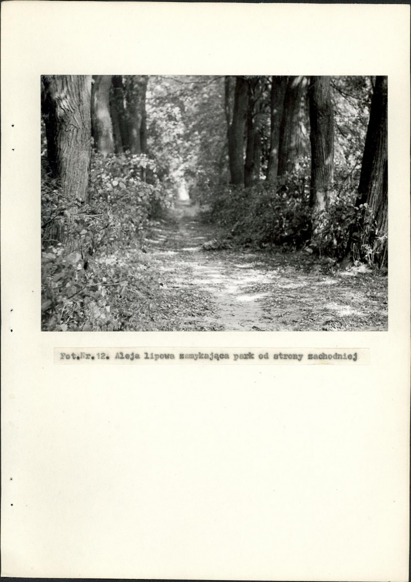 Ewidencja parkowa, skan nr 34