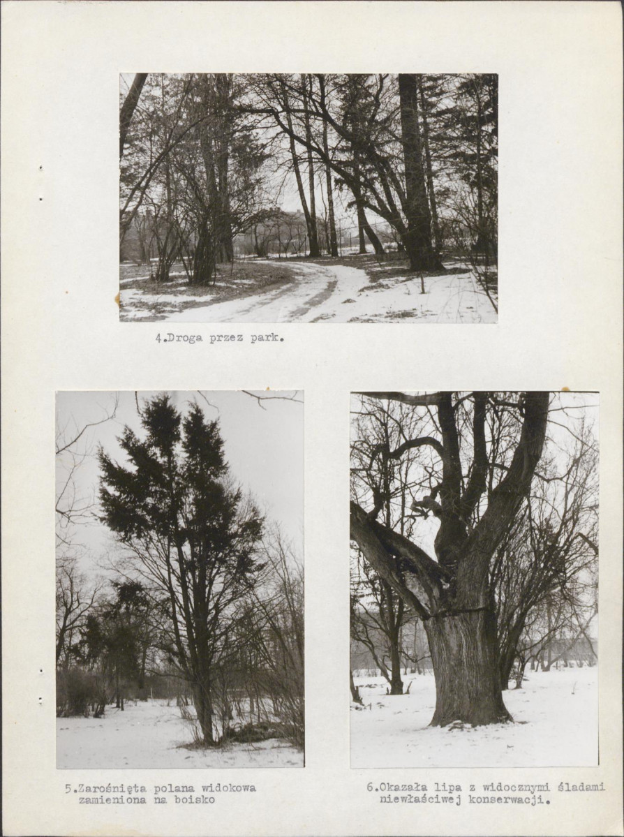 Ewidencja parkowa, skan nr 9