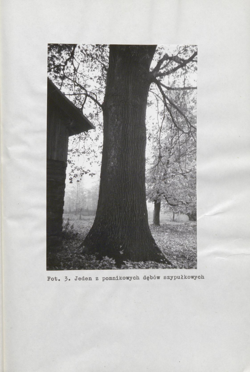 EP - Ewidencja parkowa, skan nr 23