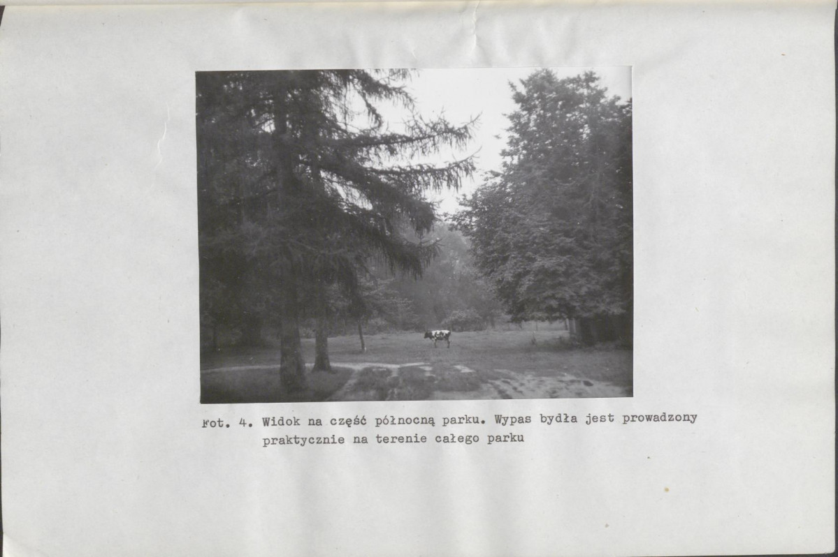 EP - Ewidencja parkowa, skan nr 24