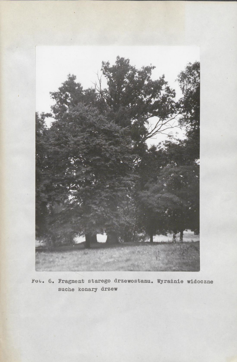 EP - Ewidencja parkowa, skan nr 26
