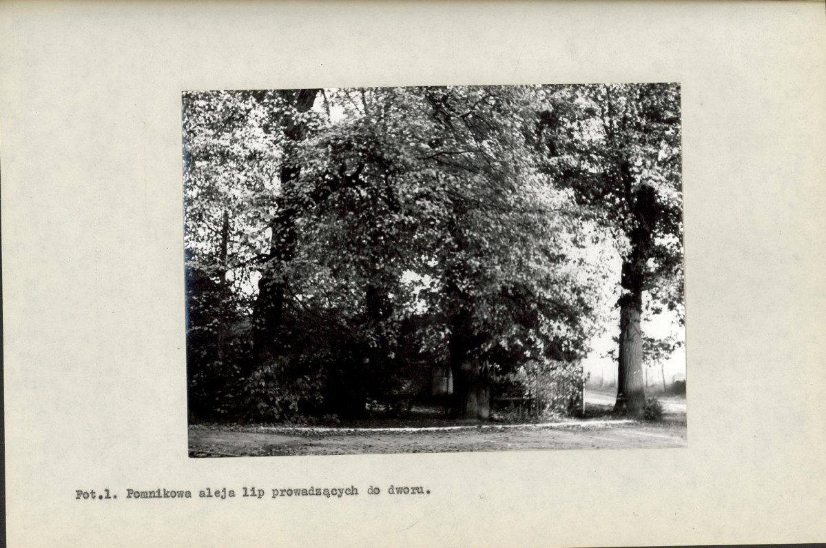 EP - Ewidencja parkowa, skan nr 28