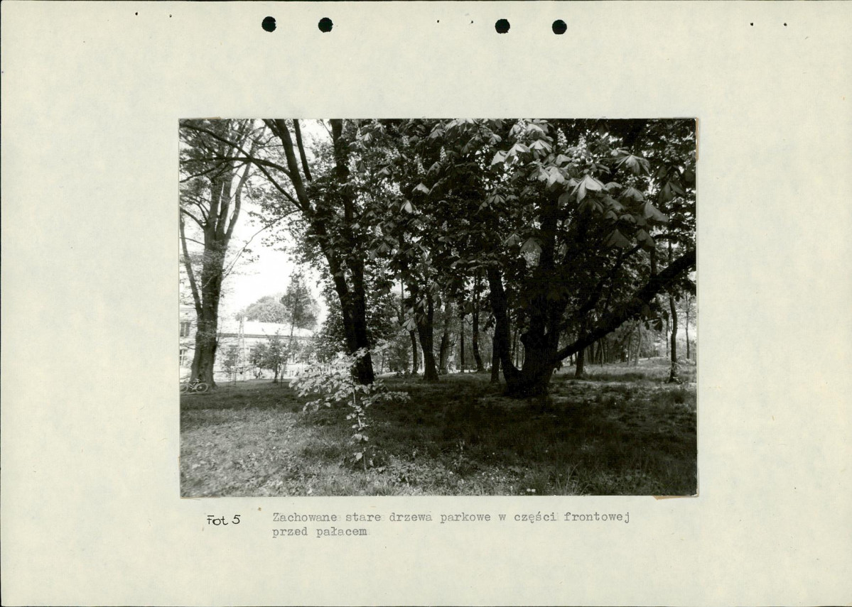Ewidencja parkowa, skan nr 30
