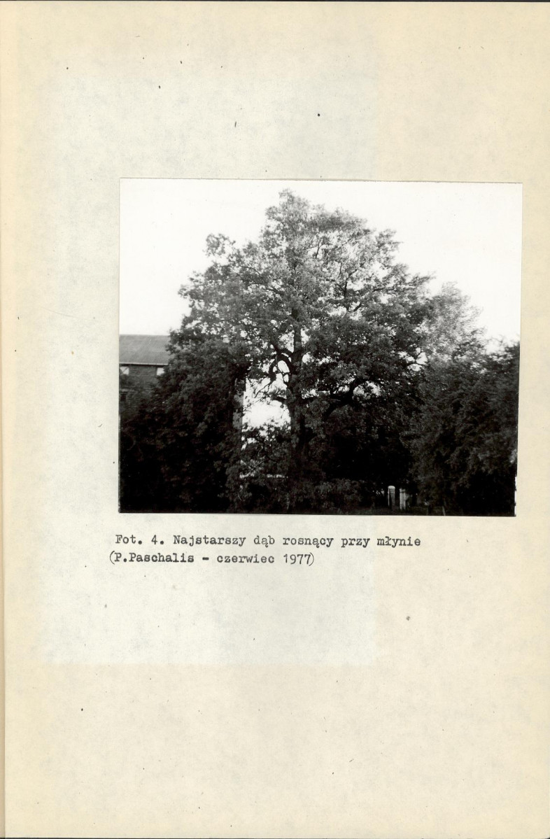 EP - Ewidencja parkowa, skan nr 21