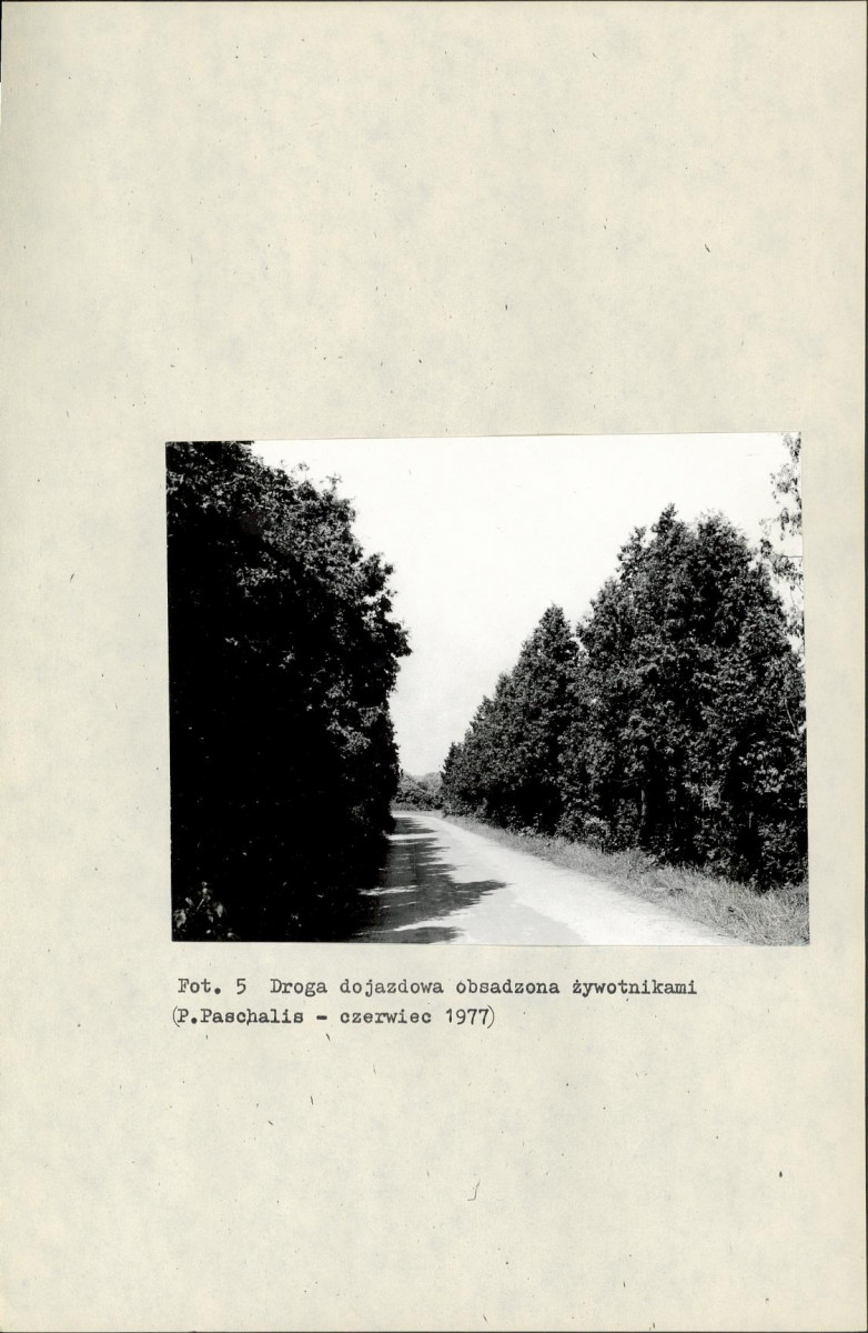 Ewidencja parkowa, skan nr 22