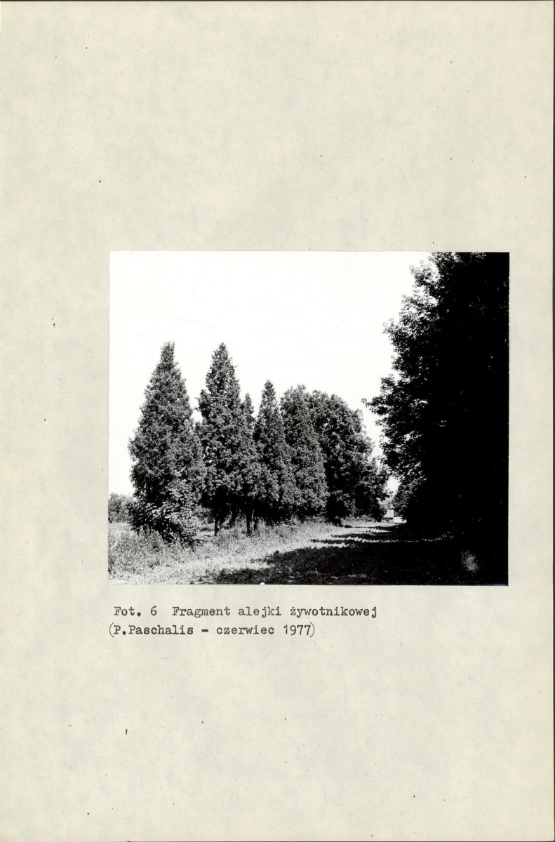 Ewidencja parkowa, skan nr 23