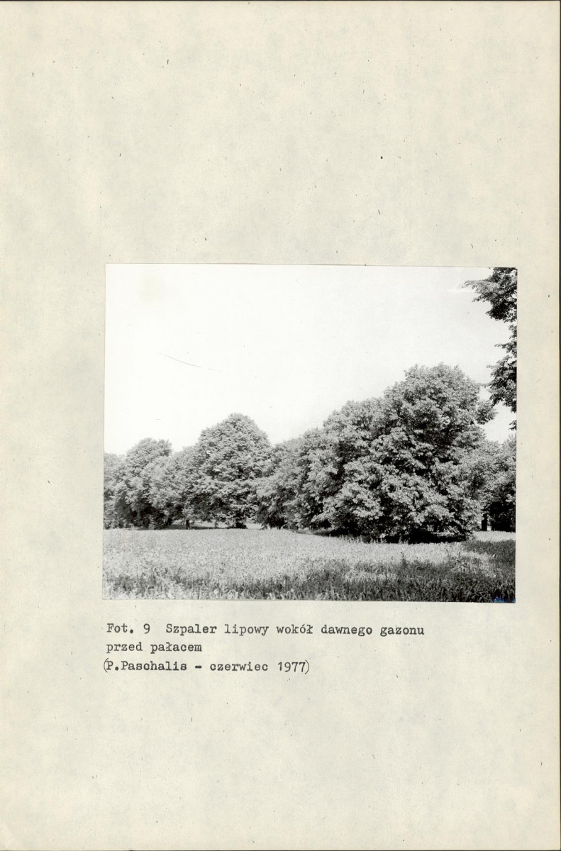 Ewidencja parkowa, skan nr 26