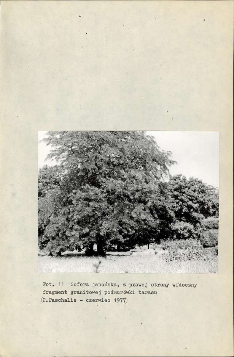 Ewidencja parkowa, skan nr 28