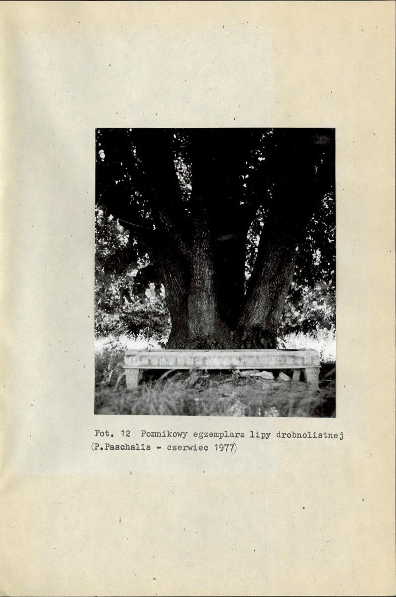 Ewidencja parkowa, skan nr 29