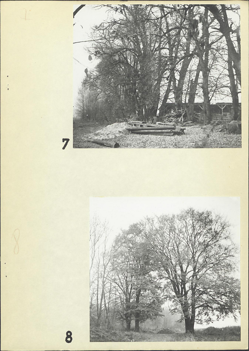 Ewidencja parkowa, skan nr 18