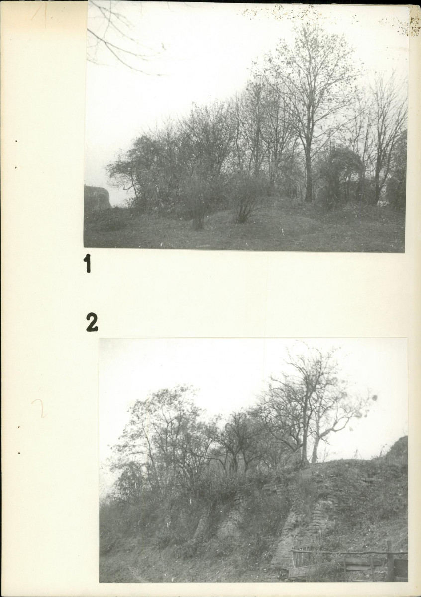 Ewidencja parkowa, skan nr 18