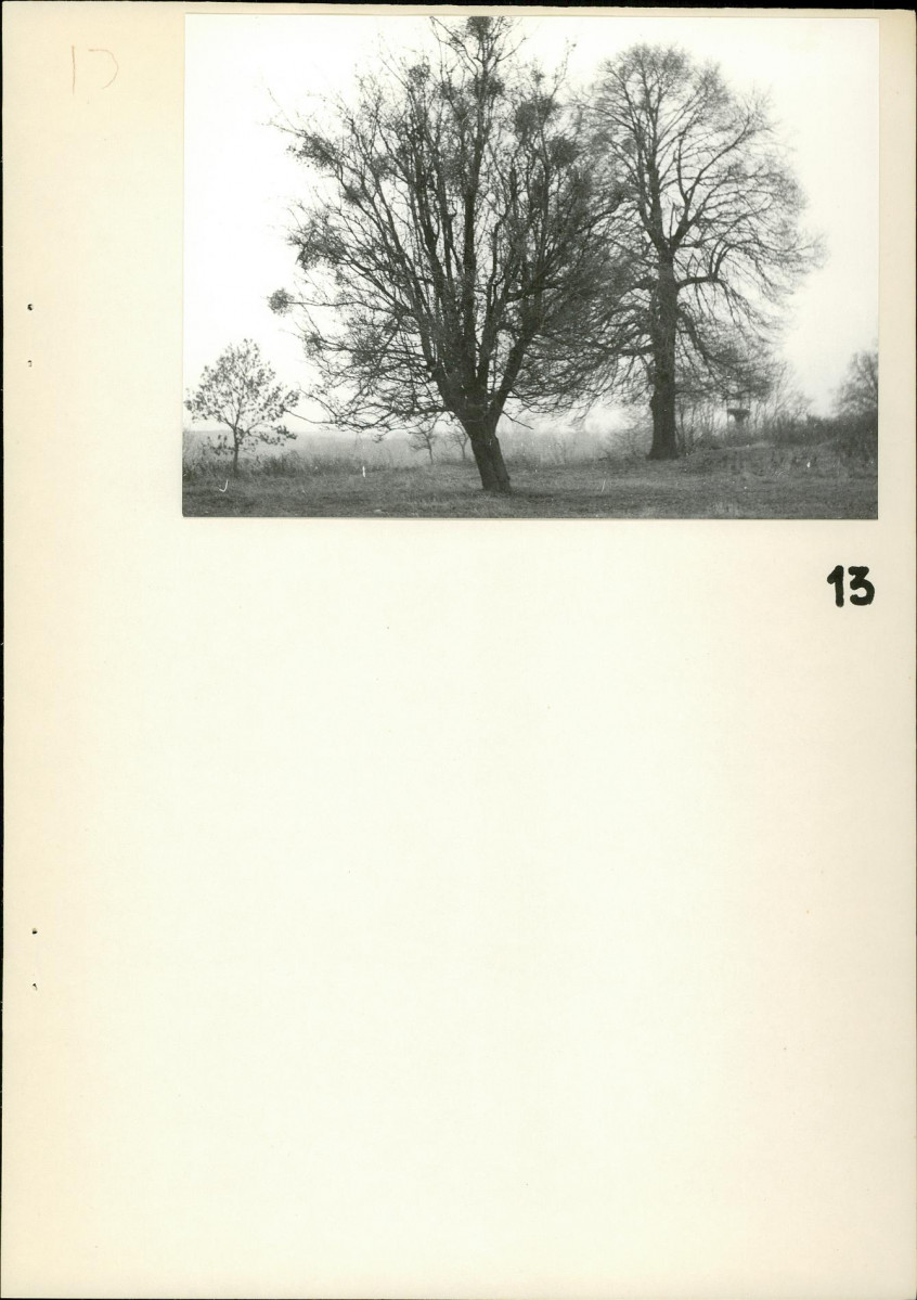 Ewidencja parkowa, skan nr 24