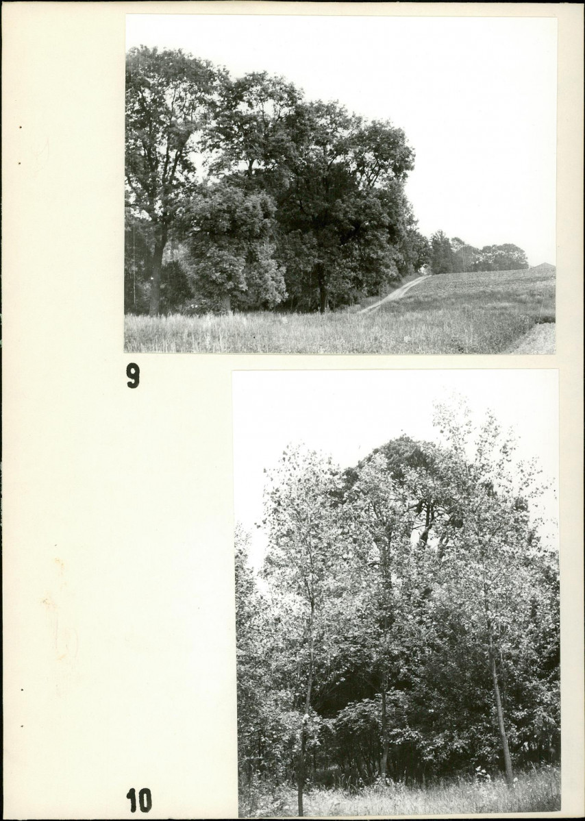 Ewidencja parkowa, skan nr 20