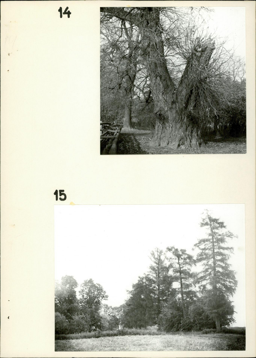 Ewidencja parkowa, skan nr 23