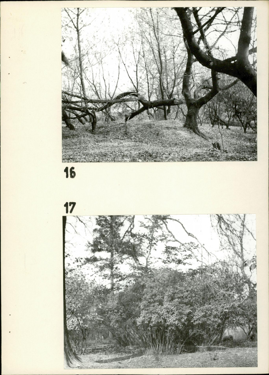 Ewidencja parkowa, skan nr 24