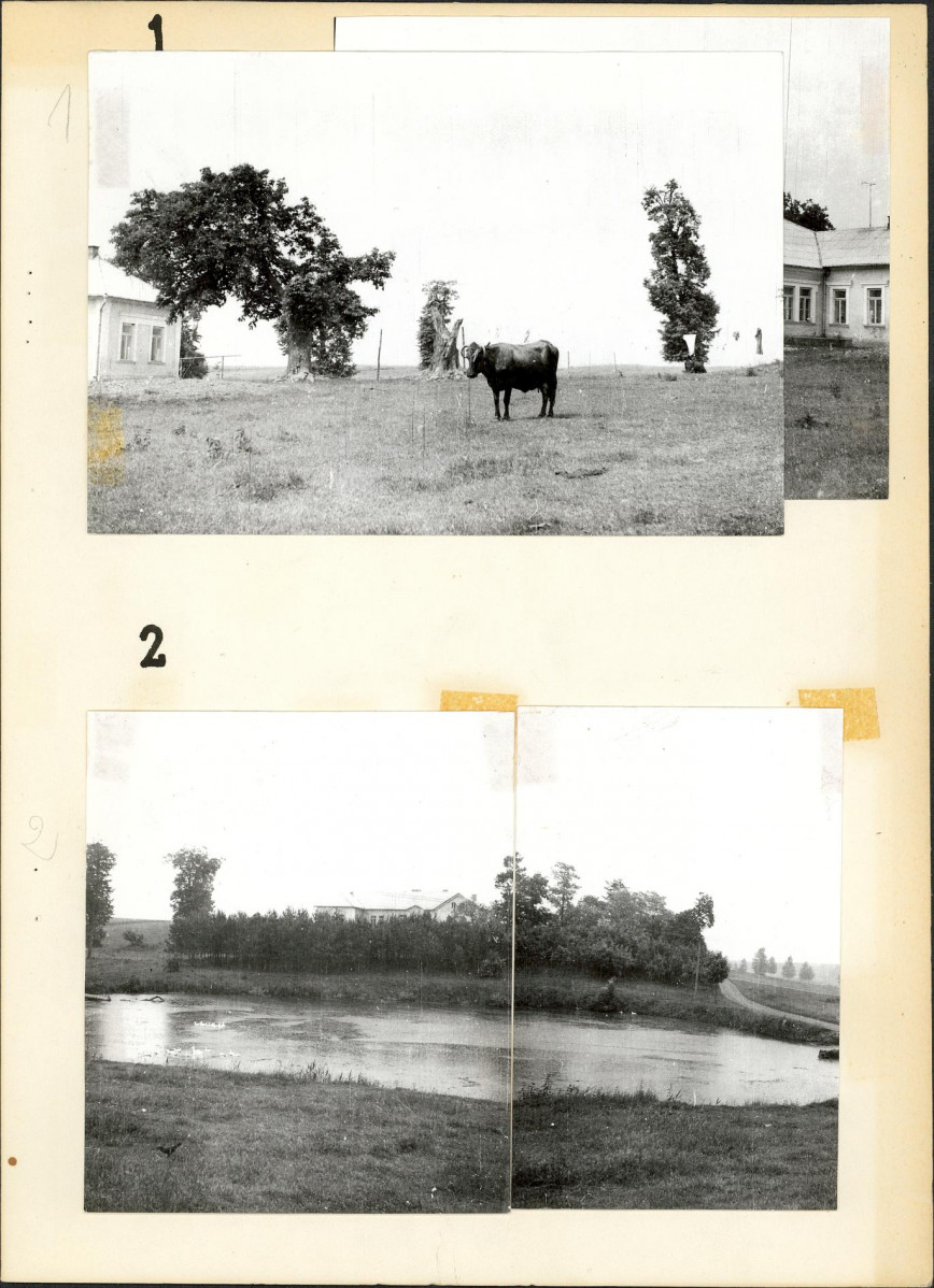 Ewidencja parkowa, skan nr 17