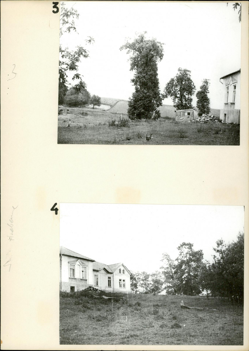 Ewidencja parkowa, skan nr 19