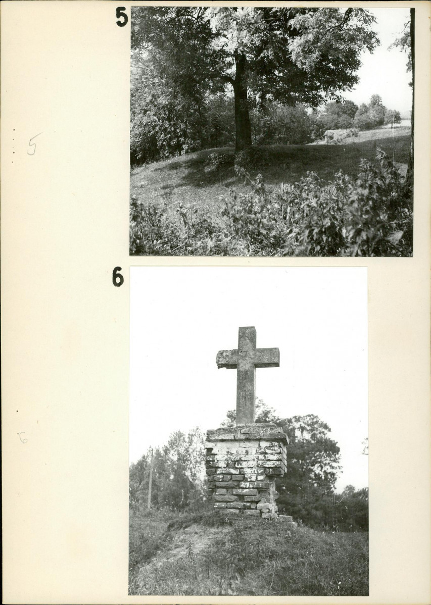 Ewidencja parkowa, skan nr 20