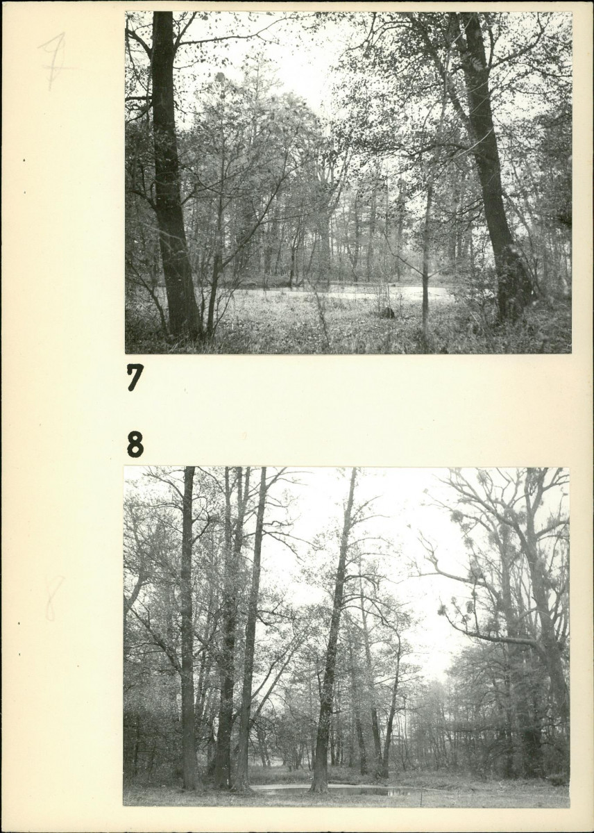 EP - Ewidencja parkowa, skan nr 16