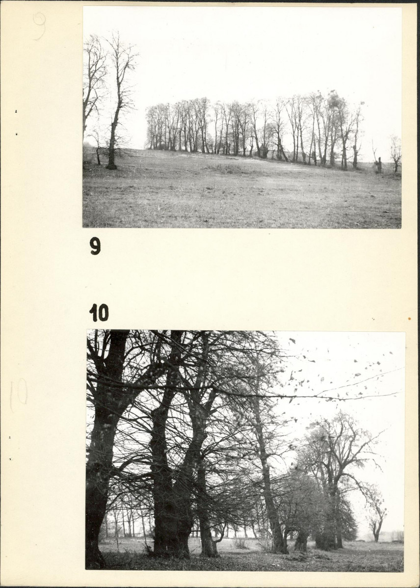 EP - Ewidencja parkowa, skan nr 17