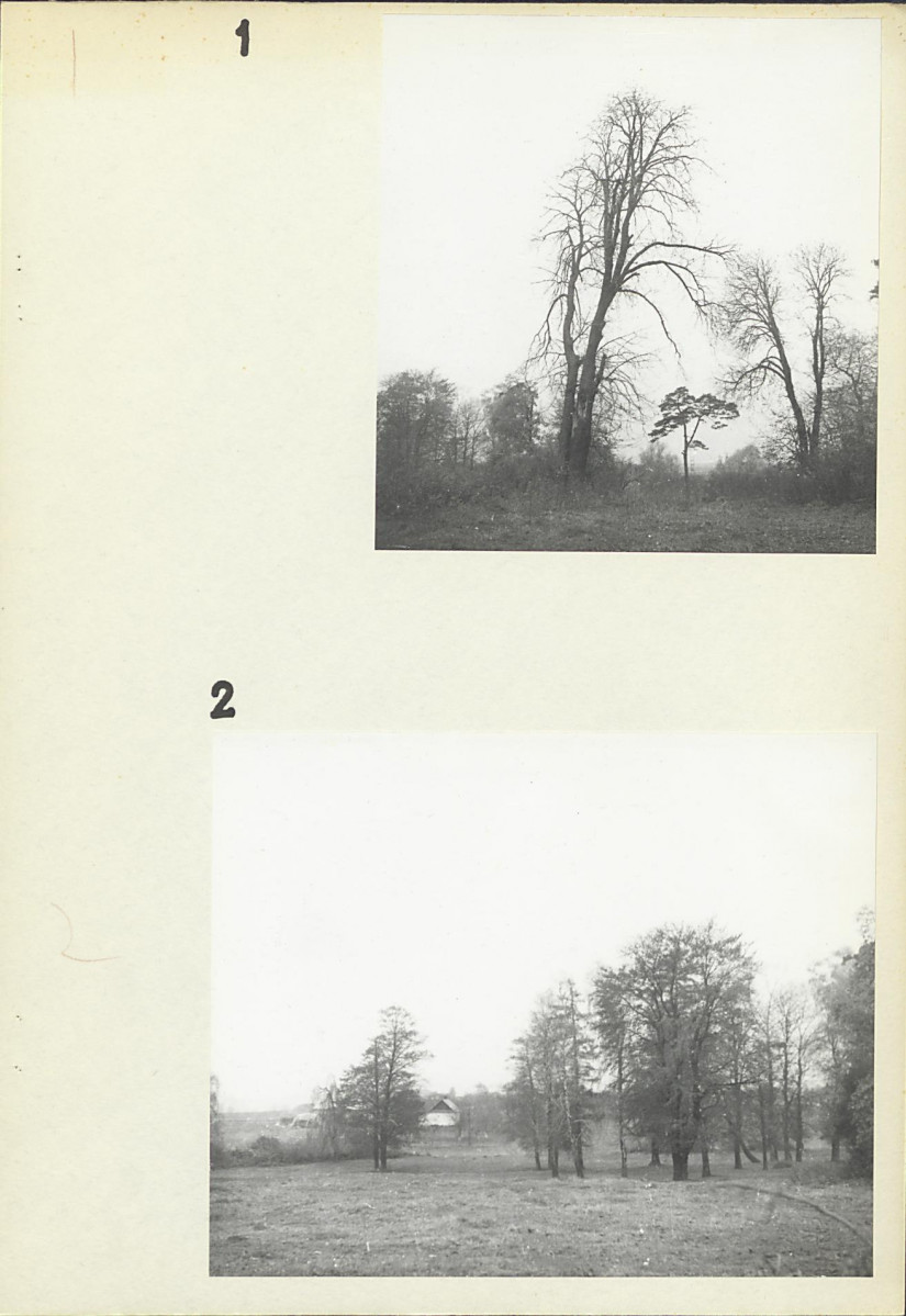 EP - Ewidencja parkowa, skan nr 15