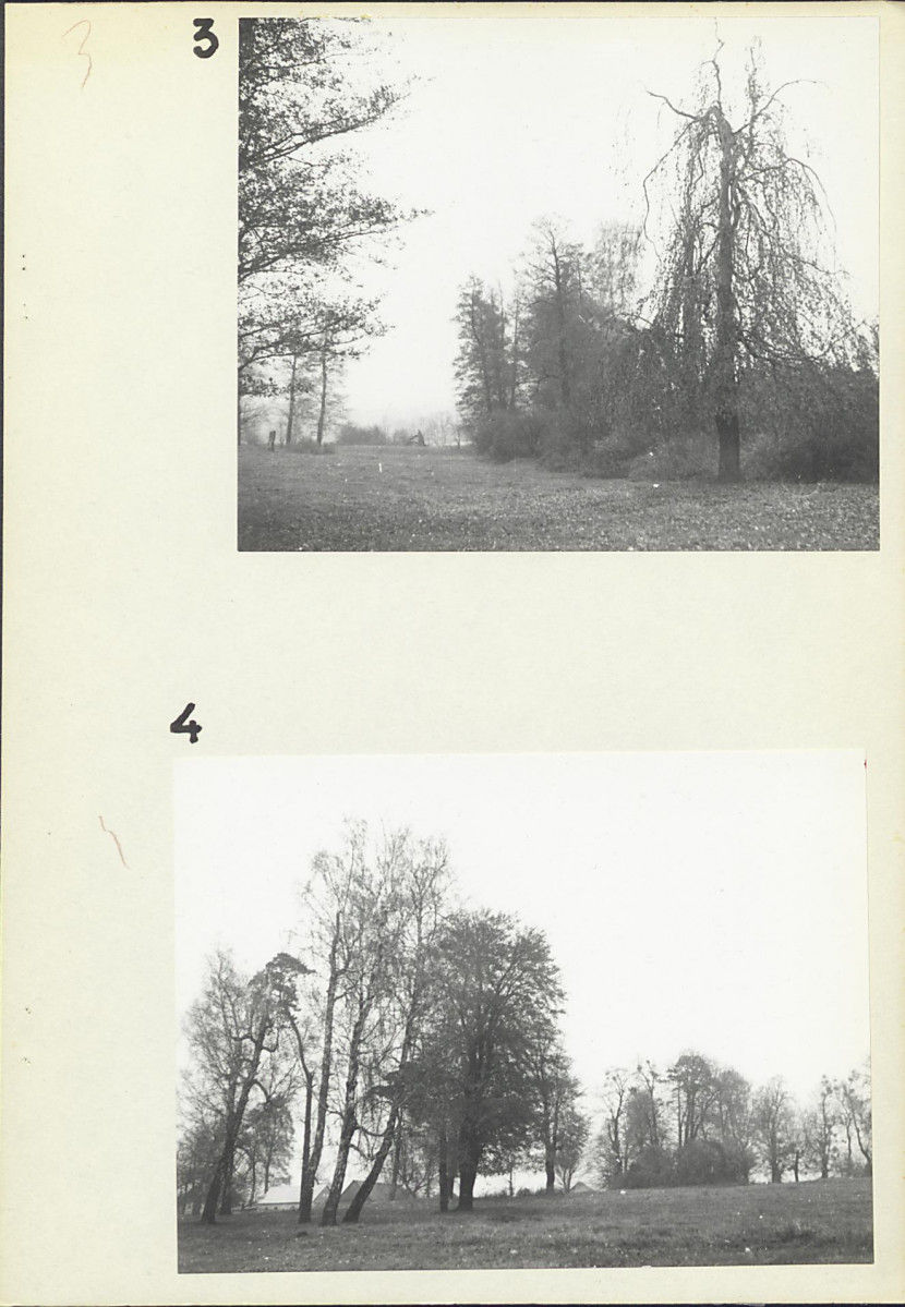 EP - Ewidencja parkowa, skan nr 16