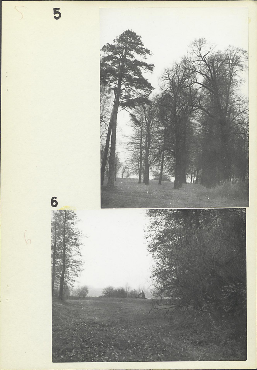 EP - Ewidencja parkowa, skan nr 17