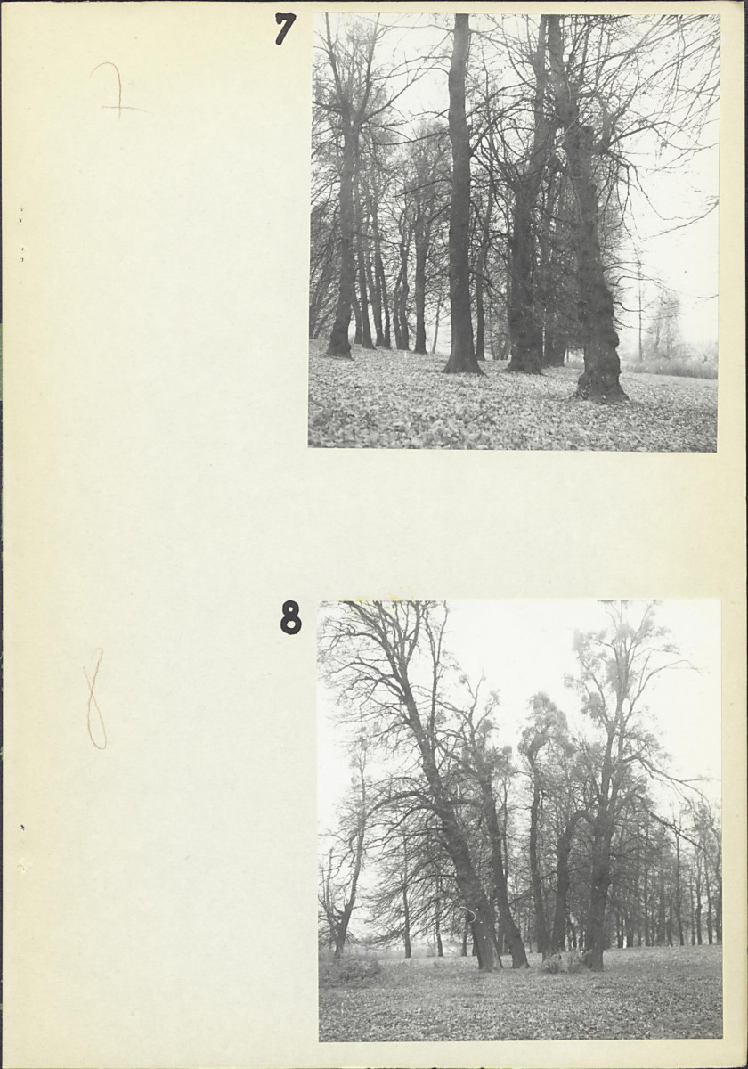 EP - Ewidencja parkowa, skan nr 18