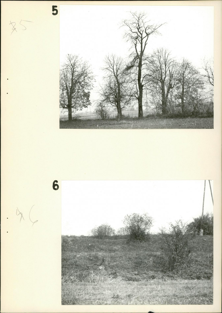 Ewidencja parkowa, skan nr 20