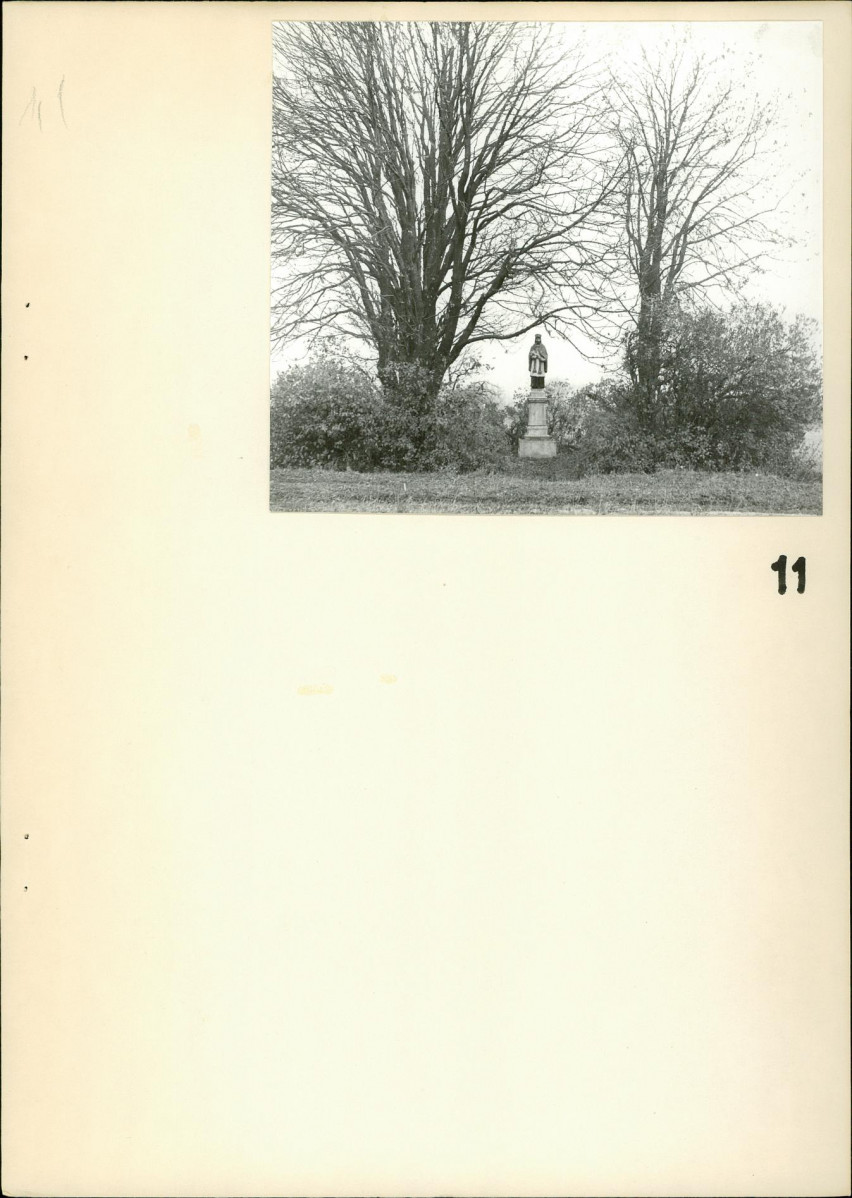 Ewidencja parkowa, skan nr 23