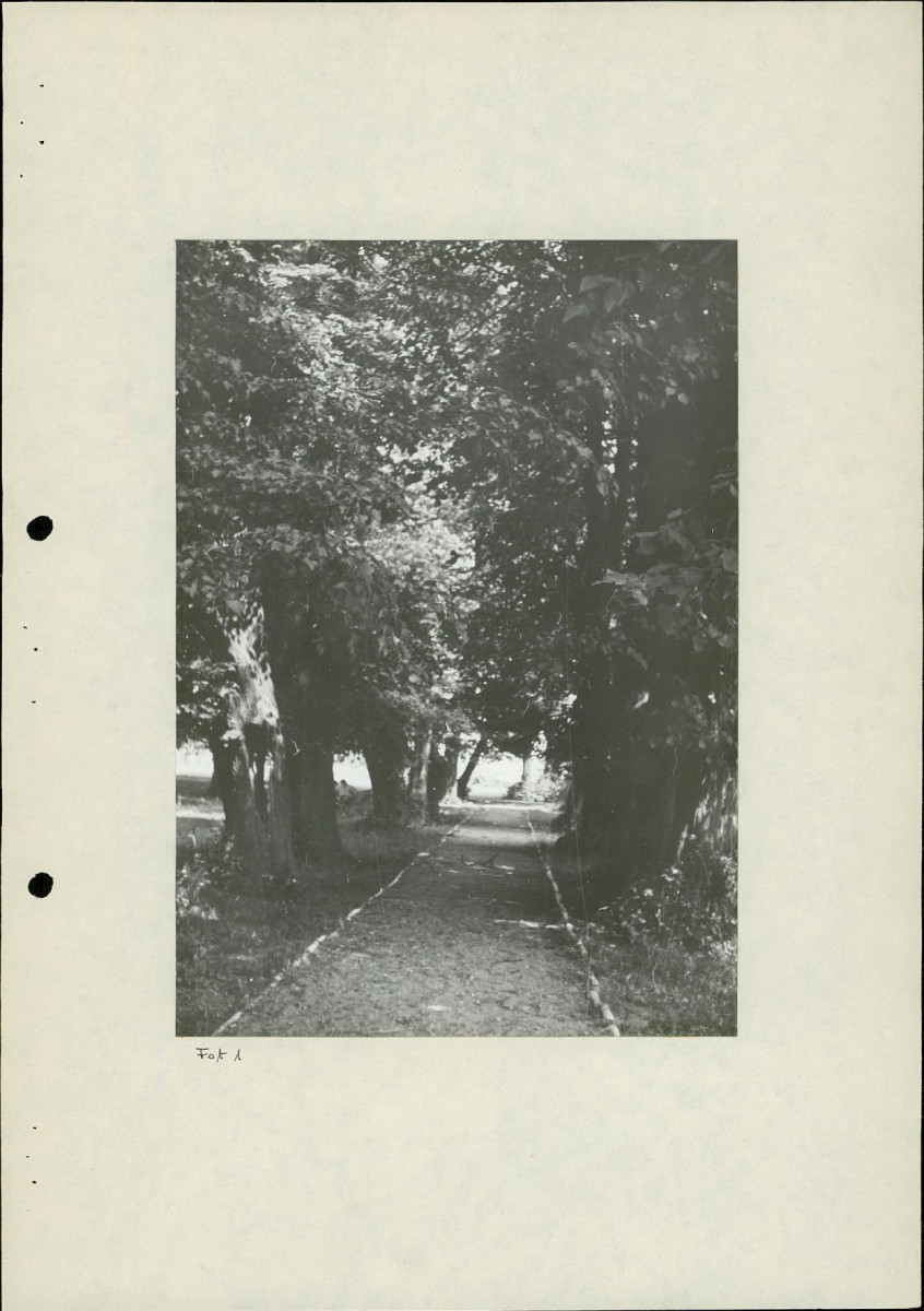 EP - Ewidencja parkowa, skan nr 23