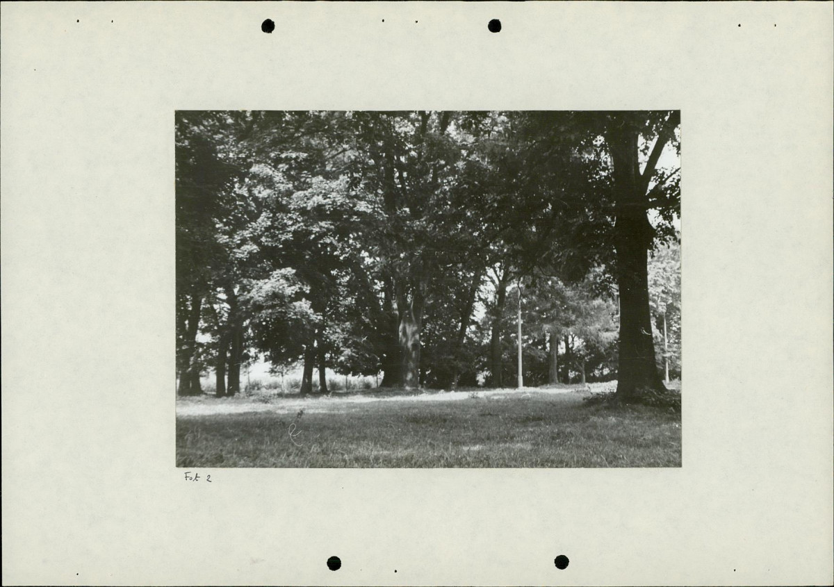 EP - Ewidencja parkowa, skan nr 24