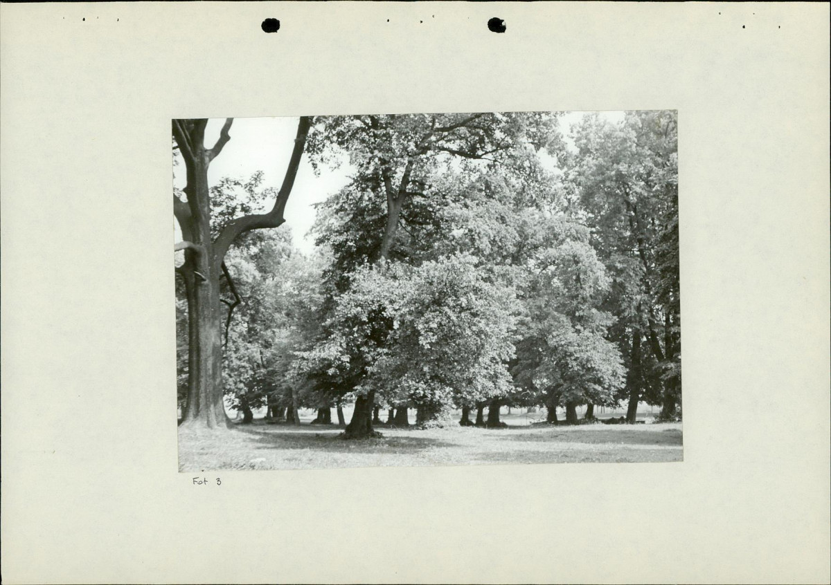 EP - Ewidencja parkowa, skan nr 25