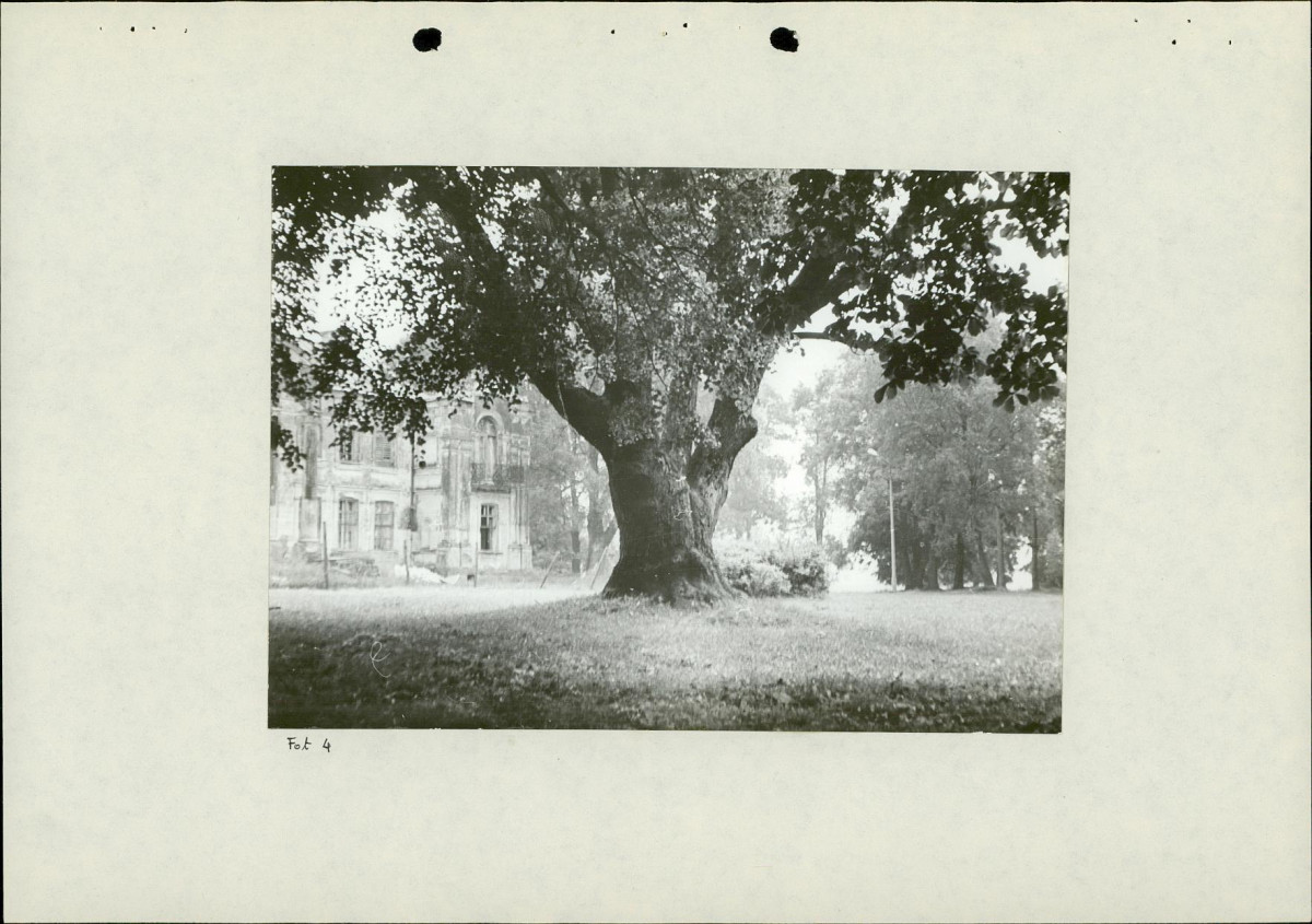 EP - Ewidencja parkowa, skan nr 26