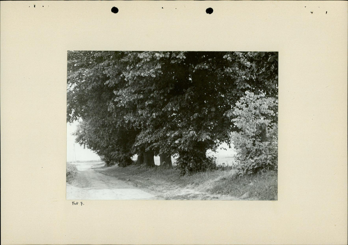 EP - Ewidencja parkowa, skan nr 29