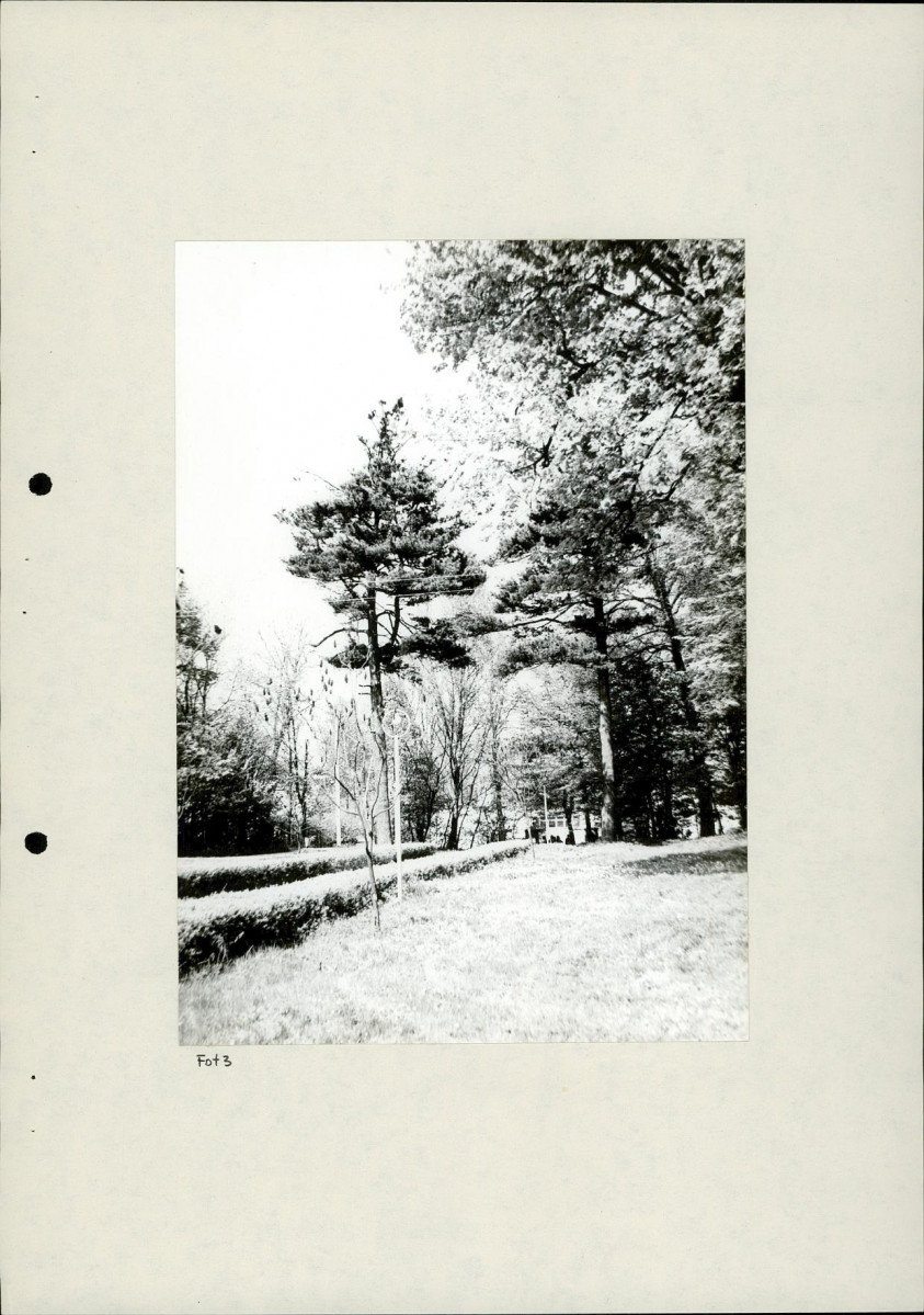 EP - Ewidencja parkowa, skan nr 33