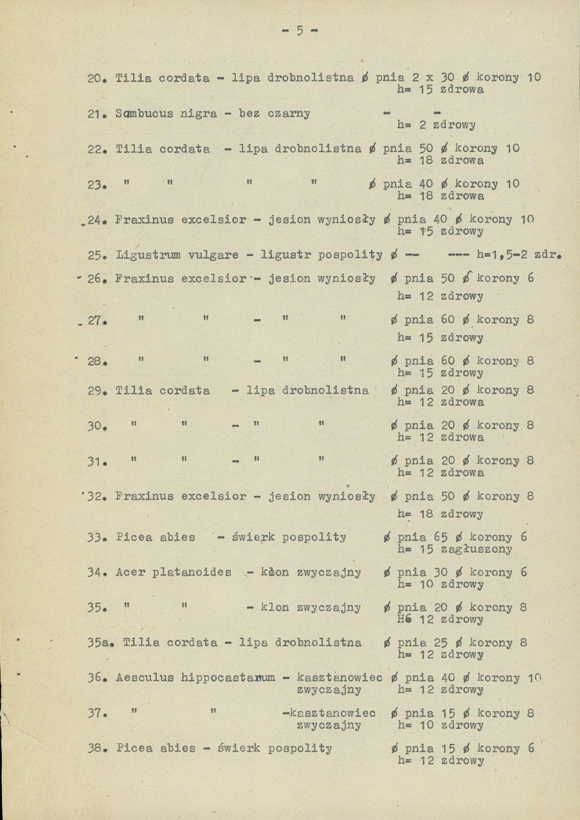 Ewidencja parkowa, skan nr 10
