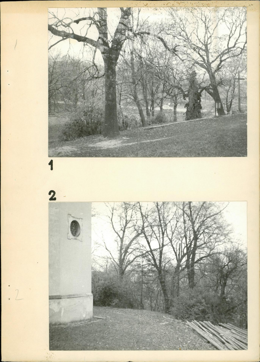 Ewidencja parkowa, skan nr 16