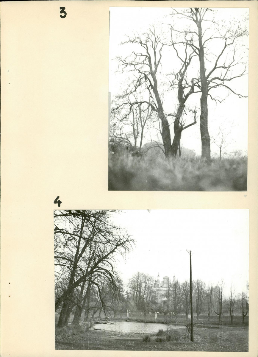Ewidencja parkowa, skan nr 17