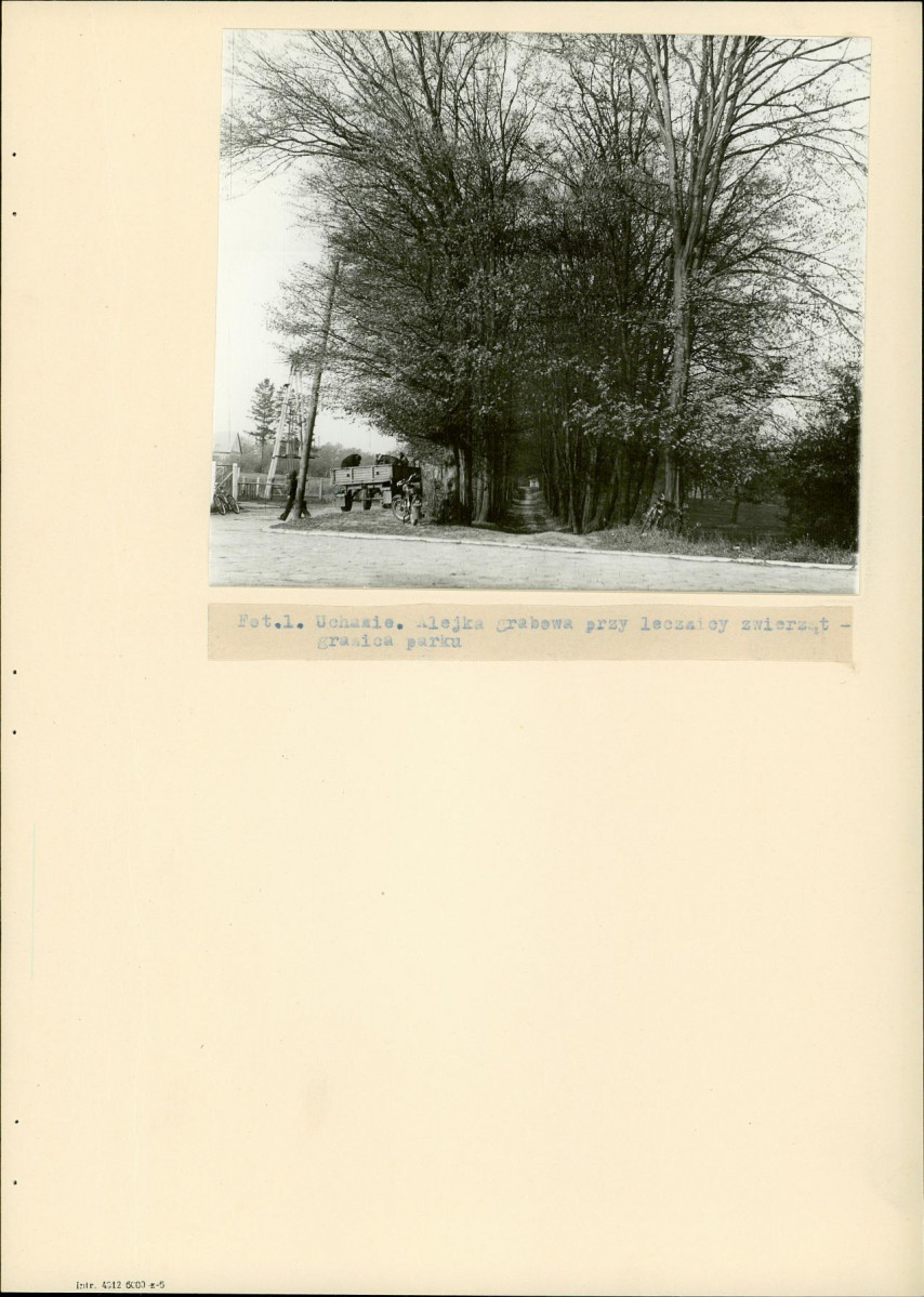 Ewidencja parkowa, skan nr 13